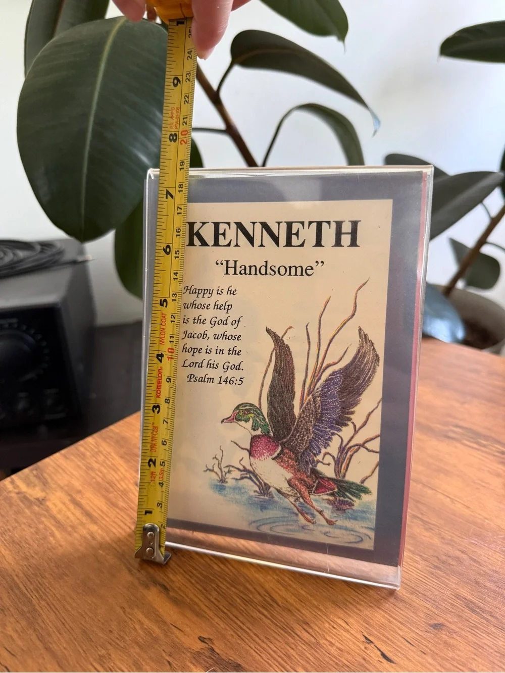 KENNETH ‘Handsome' Framed Duck Print - Multicolor